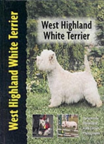 West highland white terrier - highland,