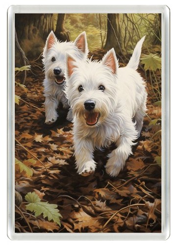 Westie west highland white - highland,