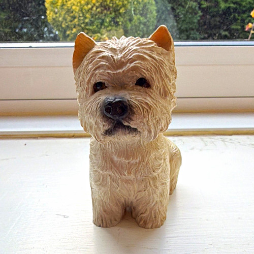 West highland white terrier - highland,