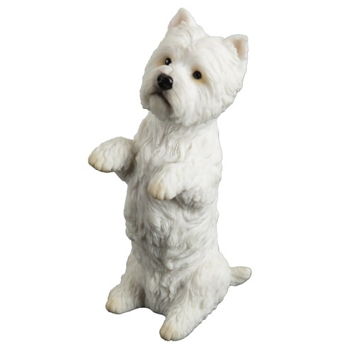 West highland white terrier - highland,