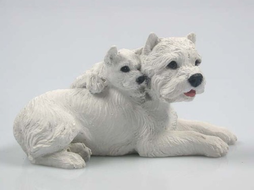 West highland white terrier - west,