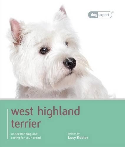 West highland white terrier - highland,