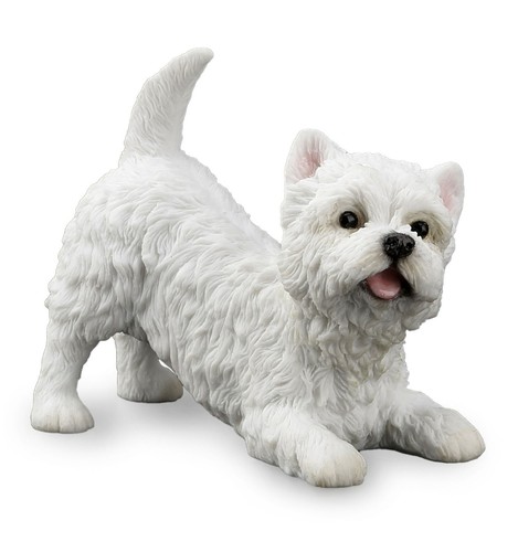 West highland white - white, terrier