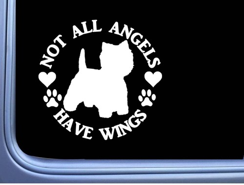 Adesivo westie angel 342 - adesivo,