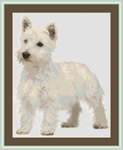 West highland white terrier - west,