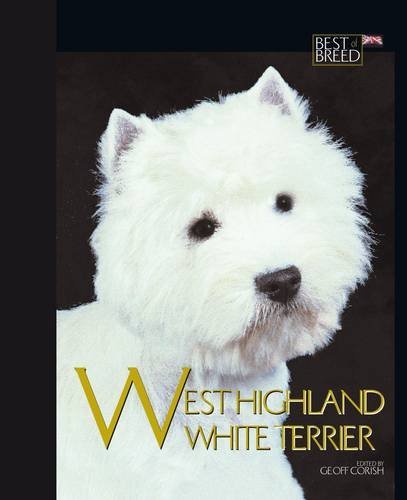 West highland white terrier - west,