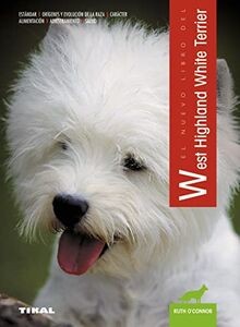 West highland white - , terrier