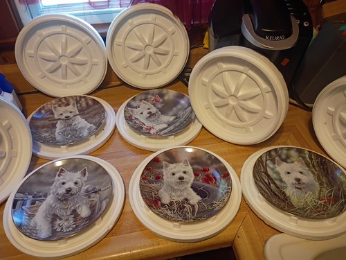 Danbury mint lotto - mint,
