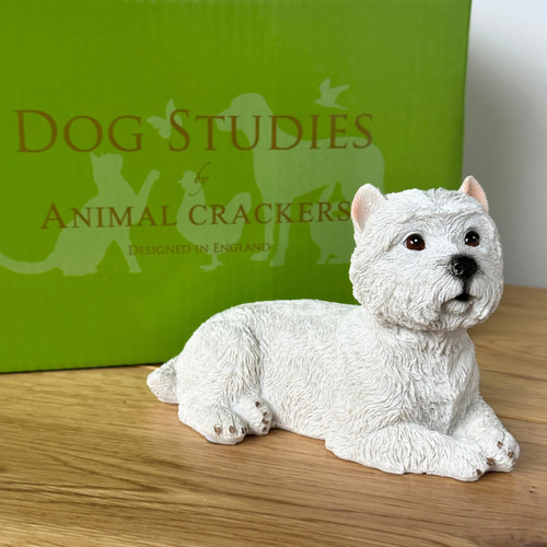 West highland white terrier - west,