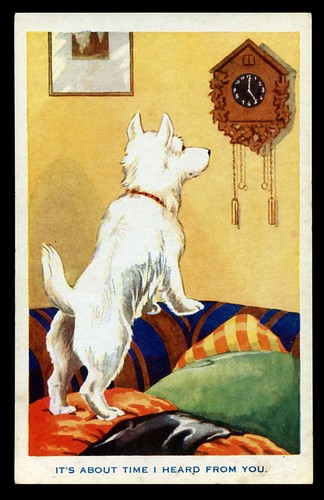 West highland white terrier - west,