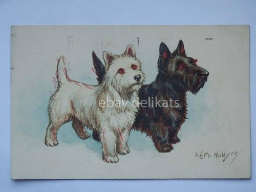 Old postcard cartolina cane - old,