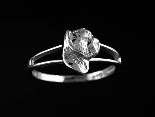 Anello chien westie - anello,