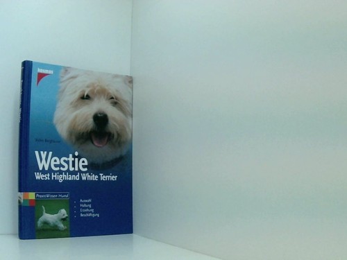 Westie west highland - west, white