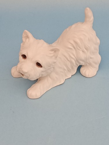 West highland terrier white - highland,