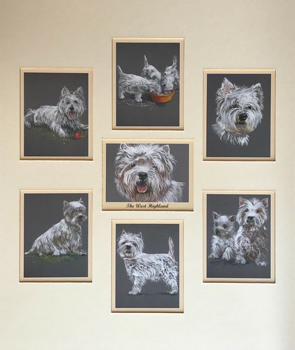 The west highland white - the,