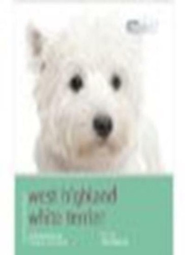 West highland white terrier - west,