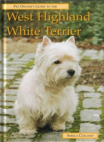 West highland white - highland,