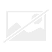 West highland white terrier - west,