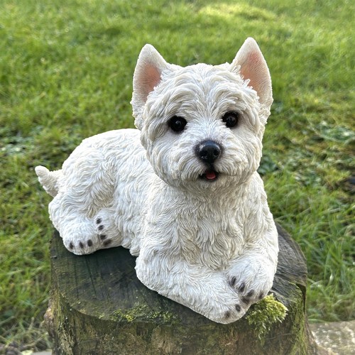 Statua figurina west highland - figurina,