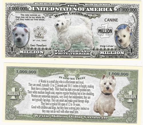 Dollar west highland white - dollar,
